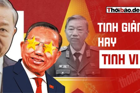TINH GIẢN HAY TINH VI?