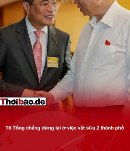 Tô Tổng sắp xếp vẹn toàn, cuối cùng nắm cả 2 thành phố lớn!