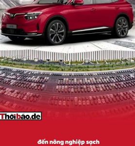 VIN VÀ GIẤC MƠ ĐẤT