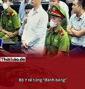 TỪ BỆNH VIỆN ĐẾN ĐẠI HỌC: NGÀNH NÀO CŨNG “NÓI LÁO NHƯ THẦN”