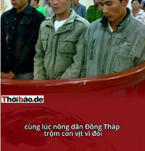 CÔNG LÝ GIAI CẤP: TỶ PHÚ LỪA NGÀN TỶ RA TÙ SỚM, TRỘM VỊT NGỒI BÓC LỊCH!