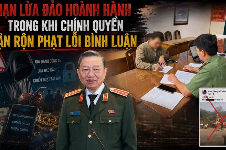 Nạn lừa đảo hoành hành trong khi chính quyền bận rộn phạt lỗi bình luận