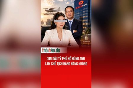Con dâu tỷ phú Hồ Hùng Anh làm chủ tịch hãng hàng không