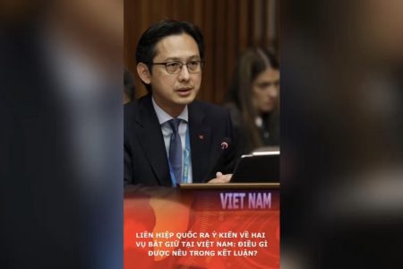 Liên hiệp quốc ra ý kiến về hai vụ bắt giữ tại Việt Nam: Điều gì được nêu trong kết luận?
