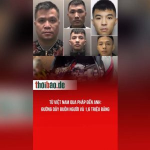 Từ Việt Nam qua Pháp đến Anh: Đường dây buôn người và 1,6 triệu bảng