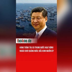Hàng trăm tàu cá Trung Quốc hoạt động ngoài khơi Quảng Ngãi: Bắc Kinh muốn gì?