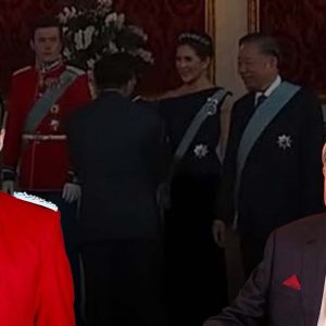 Diplomacy in the To Lam Era: The Danish Royal Banquet and the Missed Handshake?